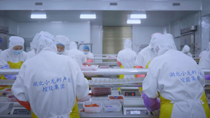 全國首個(gè)小龍蝦加工基地揭牌 全鏈賦能‘蝦’經(jīng)濟(jì)，助力鄉(xiāng)村振興與技術(shù)推廣